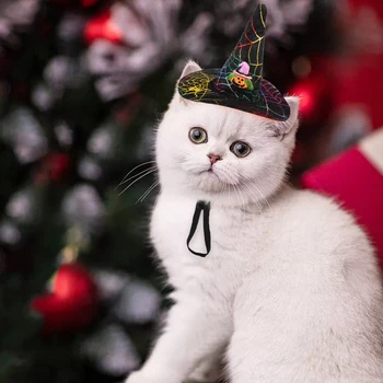 Smieklīgi Cute Pet Cosplay Kostīmu Zvaigžņu Ķirbju Bat Raganu Cepure Klp Cepuri Cat Halloween Puse Drēbes Masku Rudens Ziemas